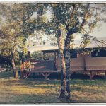 © Camping l'Ombrage - Camping Nature Ombrage