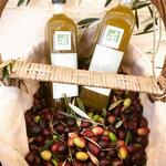 Biologische olijfolie van Domaine de la Croix de la Blanche