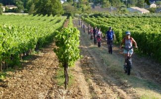 Les soirées vigneronnes au Domaine le Grand Jardin : Balade en trottinettes électriques tout terrain