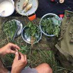 © Stage de survie douce : usage des plantes - Eingana reconnexion à la nature