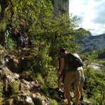 © Stage de survie douce : usage des plantes - Eingana reconnexion à la nature