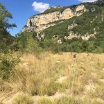 © Stage de survie douce : usage des plantes - Eingana reconnexion à la nature