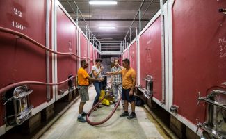 Visite de la cave - Gaec du Mas d'Intras