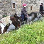 © Randonnée Equestre Accompagnée - Equitation Chavetourte - TALAGRAND