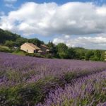 © Village de gîtes Le Serre de Pierre - DEMAY