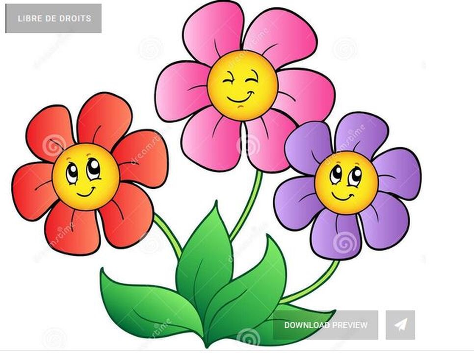 Loto des fleurs