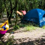 © Camping Mille Etoiles - Millet Nadine