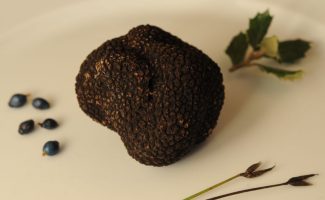 Saveurs de truffes et vins d'Ardèche à Néovinum