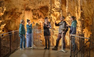 Dégustation œnologique à 50 mètres sous terre et visite de la Grotte