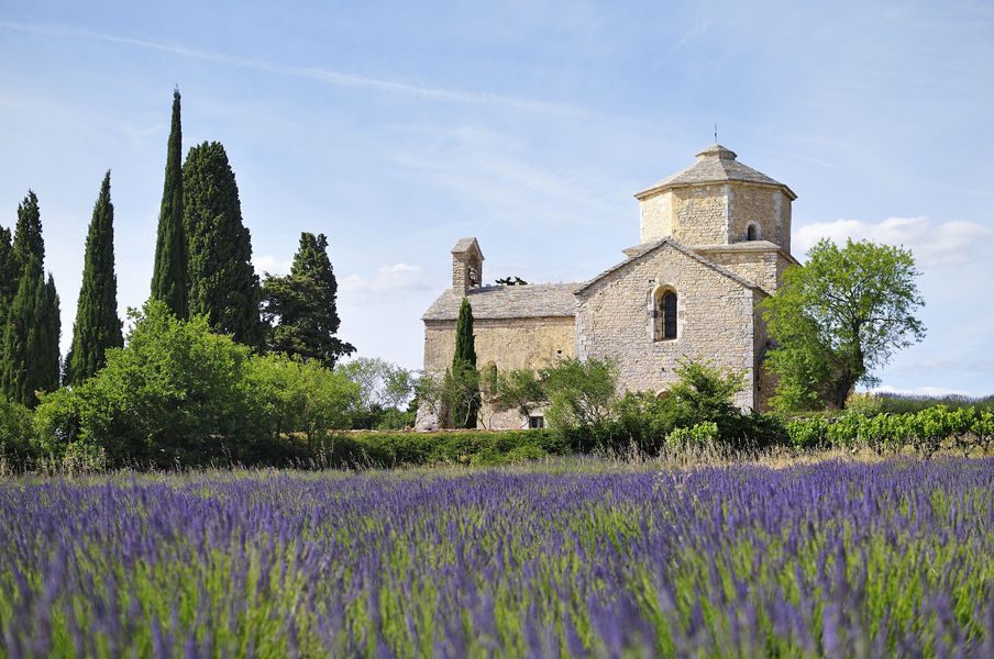 La lavande, du Palais au palais…