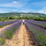 © Entre Vignes et Vallons - ©M.Geray-ADT07