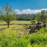 Autovrije vakantie: rechteroever Gorges de l'Ardèche, natuurlijke chic