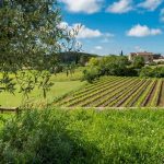 Autovrije vakantie: rechteroever Gorges de l'Ardèche, natuurlijke chic