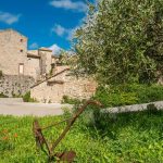 Autovrije vakantie: rechteroever Gorges de l'Ardèche, natuurlijke chic