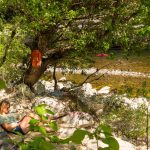 Autovrije vakantie: rechteroever Gorges de l'Ardèche, natuurlijke chic