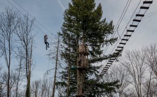 Accroche toi aux branches Jaujac