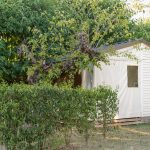 © Camping le Coin Charmant - CAMPING LE COIN CHARMANT Tithome