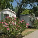 © Camping les Paillotes en Ardèche - PERRIN