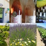 © Domaine Alain Dumarcher - GAEC ALAIN DUMARCHER