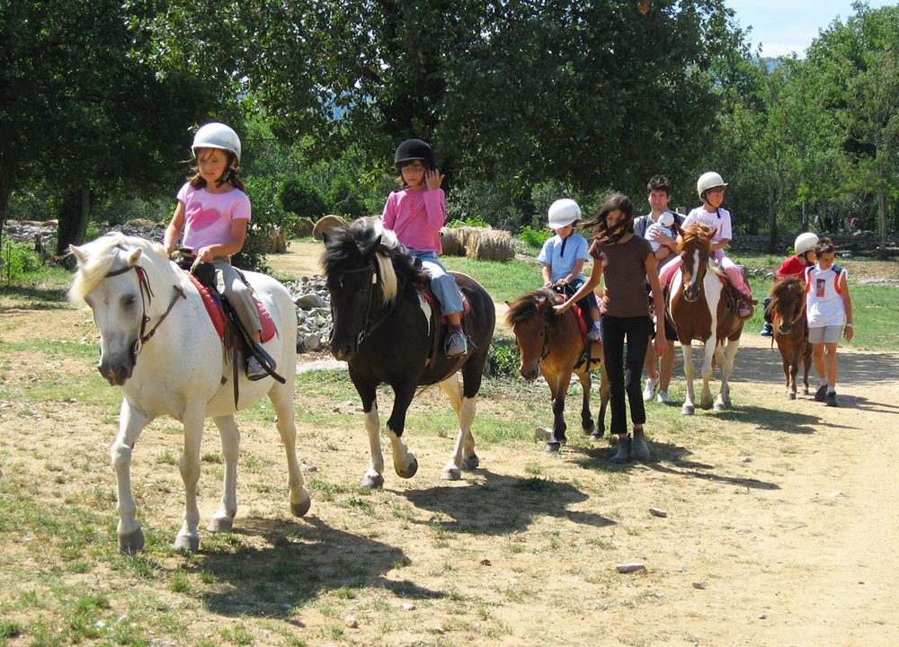 Stage à Poneys et Balades à poneys