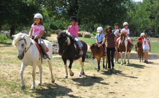 Stage à Poneys et Balades à poneys