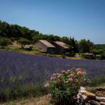 © Le tilleul - Village de gîtes Le Serre de Pierre - Gîtes de France