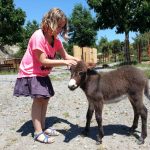 © Dierentuin in Lussas - Parc animalier de Lussas