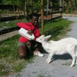 © Dierentuin in Lussas - Parc animalier de Lussas