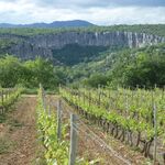© Domaine de Chardiris - Les Romarins - Gîtes de France