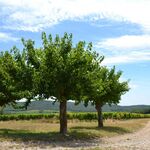 © Le Mûrier - Gîtes de France