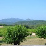 © Le Mûrier - Gîtes de France