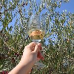 © Olijven en wijnen in de Cévennes Ardéchoises - ©La_valise_à_fleurs-ADT07