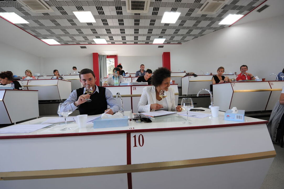Université du Vin