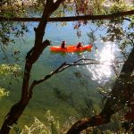 anderhalve dag per kano met een natuurgids van het natuurreservaat van de Gorges de l’Ardèche - 1 nacht in een bivak