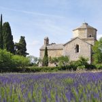 © Eglise Saint-Pierre - ©Oti Draga