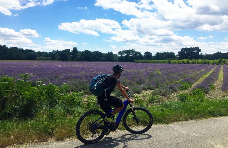 boucle-cyclable-lavande-saint-just